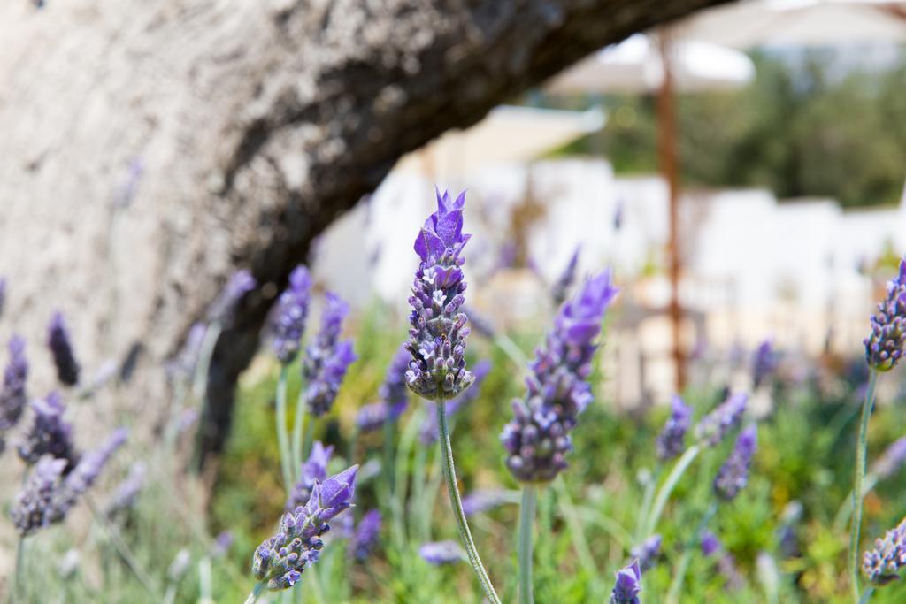 Tenuta Centoporte Hotel Otrante